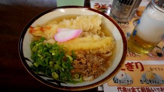 なかなかおいしいうどん　すべてかしわいり　　駅うどんとしては十分
