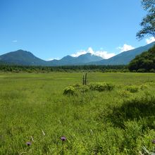 小田代ヶ原風景