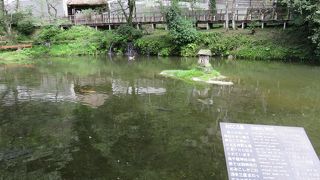 池の中には・・・