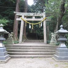 はじめの石段です。