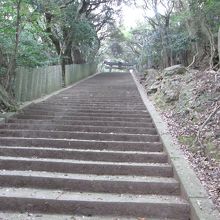 長い石段が続きます。