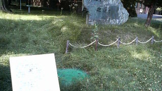 札幌農学校の頃から続く伝統の名残です