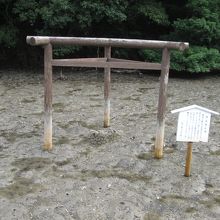 磯良恵比寿です。