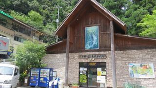 五ヶ瀬川水系に棲息する・・・