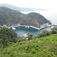 展望台から見える港です。