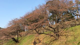 都心のオアシス