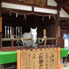 上賀茂神社の白馬