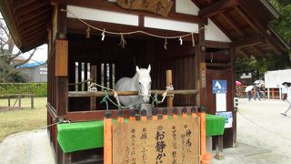 上賀茂神社の正式名称は賀茂別雷神社です