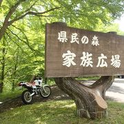 近くの東黒森山は、ハイキングに、もってこい！