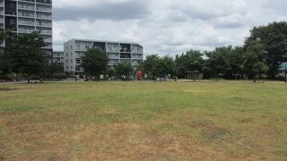 防災公園です