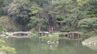 穏やかな時間が流れています。