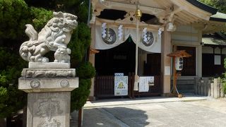 茅の輪くぐり (大江神社)