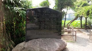 英語で書かれています。