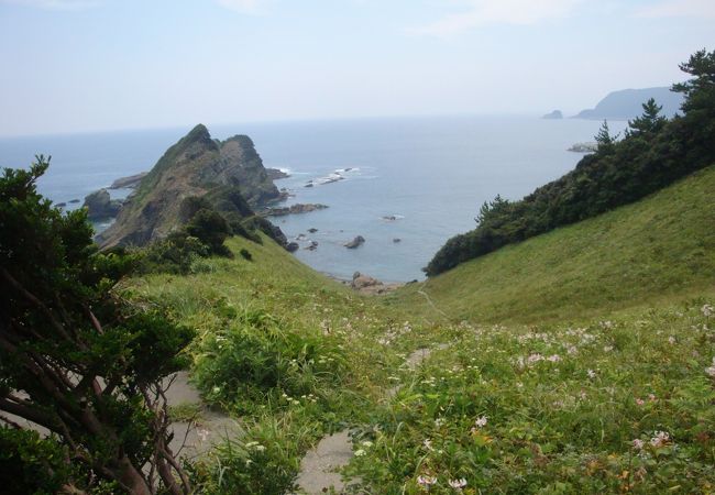 今だと、上と下の島を結ぶ橋の建設中が見れます