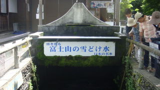 池の底に硬貨がいっぱい