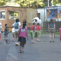 子供たちを対象にした朝の体操