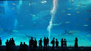 １日では、足りない観光スポット