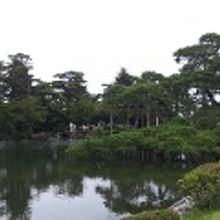 園内一の名木唐崎松