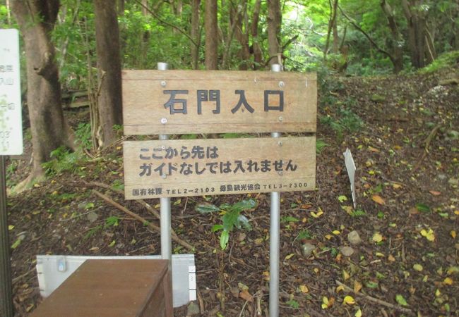 植物の楽園