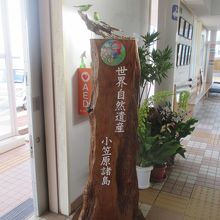 世界遺産の地