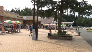 きれいなサービスエリア