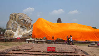 今日もどっしり構えてます