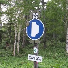 こんなかわいいのはいないだろうね。