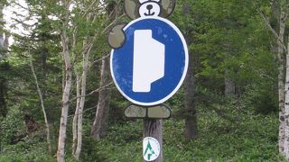 厳しいアクセスですがその価値はありそうです。