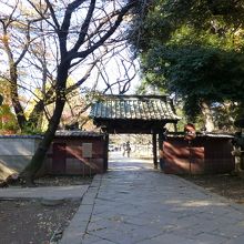 ちょっと寂しい