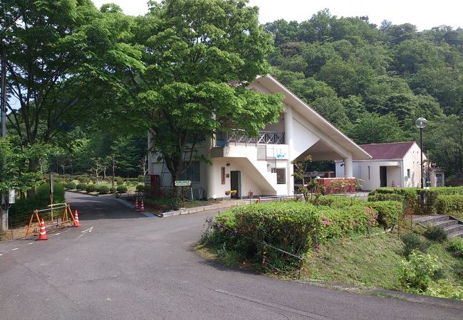 森と湖畔の公園中央広場 クチコミ アクセス 営業時間 四国中央 フォートラベル 森と湖畔の公園中央広場 クチコミ アクセス 営業時間 四国中央 フォートラベル