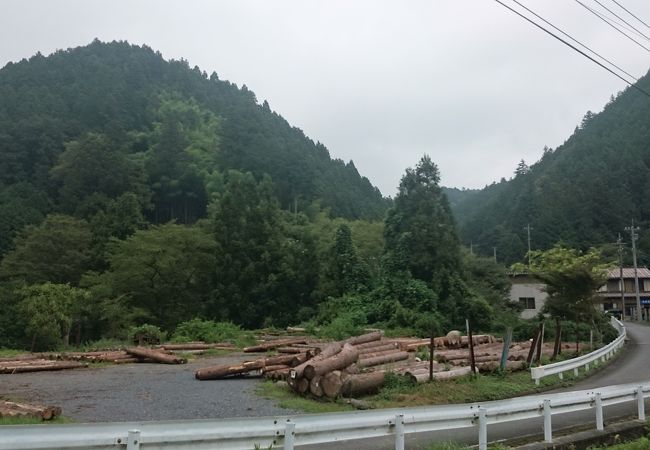 水がきれい！