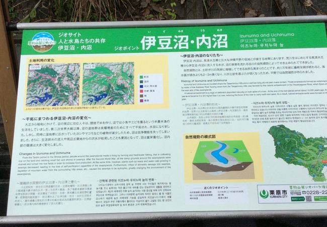 伊豆沼 内沼はすまつり 宮城県栗原市 クチコミ アクセス 営業時間 栗駒 栗原 フォートラベル