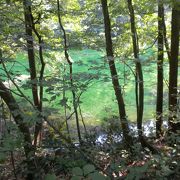 長岡の花火大会とセットで訪れた龍ヶ窪の湧水