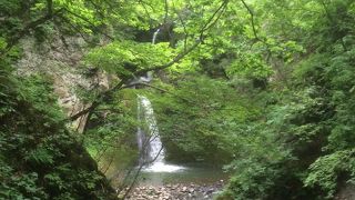 市街地のすぐそば