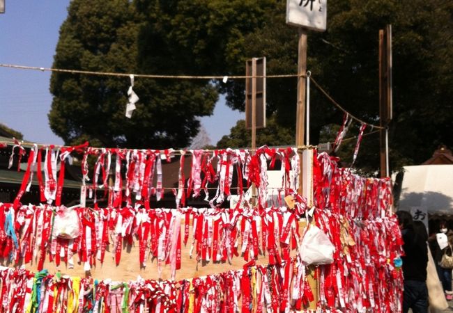 国府宮はだか祭(儺追神事)