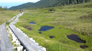 弥陀ヶ原の散策