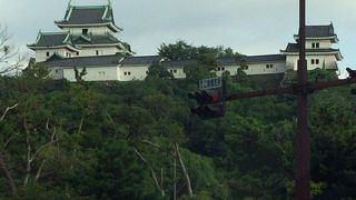 動物園があります
