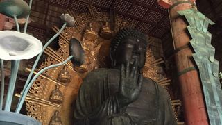 見応えのある大仏