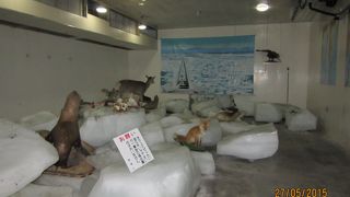 無料なので宗谷岬到達証明書をもらうついでに！！