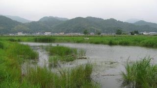 運がよければコウノトリが見られるそうです