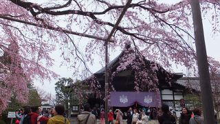 醍醐寺で一番有名