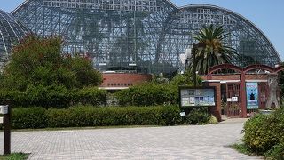 南国気分を味合う事が出来ます。