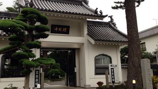 ”太宰治”と”森鴎外”のお墓が「禅林寺」～三鷹～