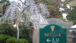 時間を忘れます