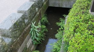 目立ちませんが