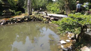 幾何学模様が美しい