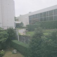 部屋からの眺め