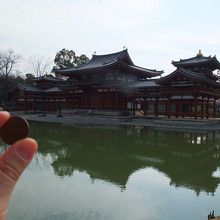 １０円玉との比較