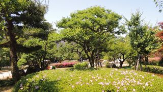 梅の咲く頃は是非