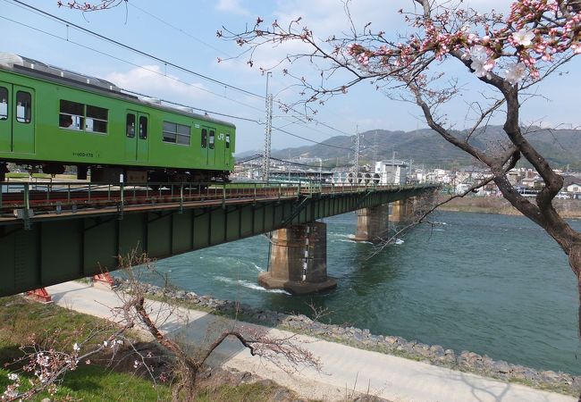 下流。流れが速いです。奈良線鉄橋付近。